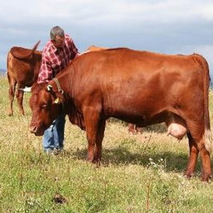 Landwirtschaft M. Kögler