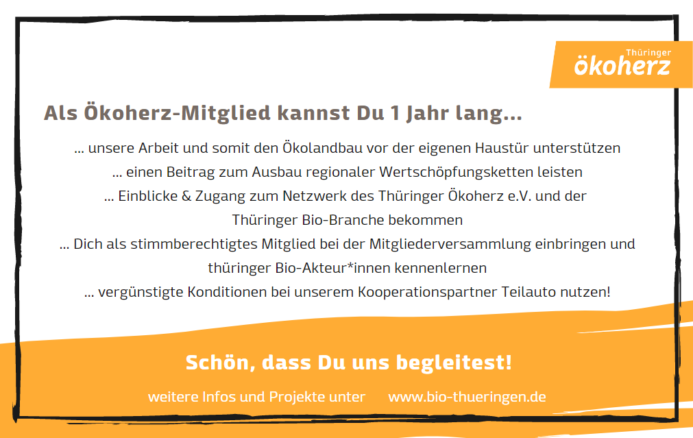 geschenkkarte_schlicht_2_rueckseite