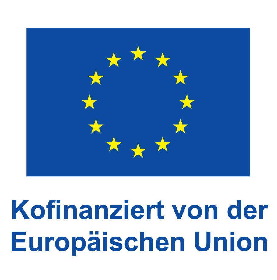 DE-V-Kofinanziert-von-der-Europaeischen-Union_POS-1