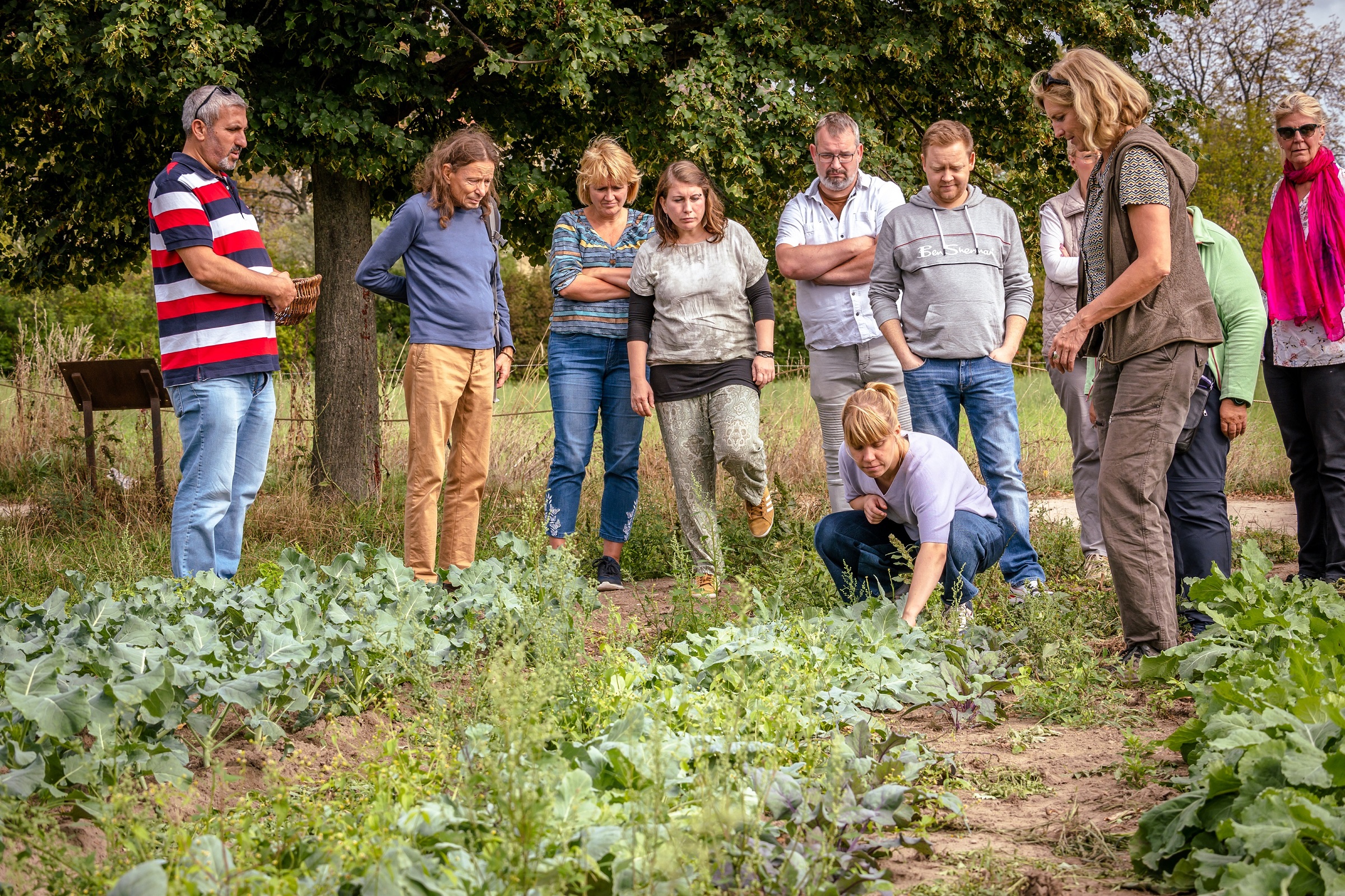 Workshop-_Nachhaltige-Verpflegung-mit-Bio-Lebensmitteln-in-Kita-und-Schule-Bio-kann-jeder_1